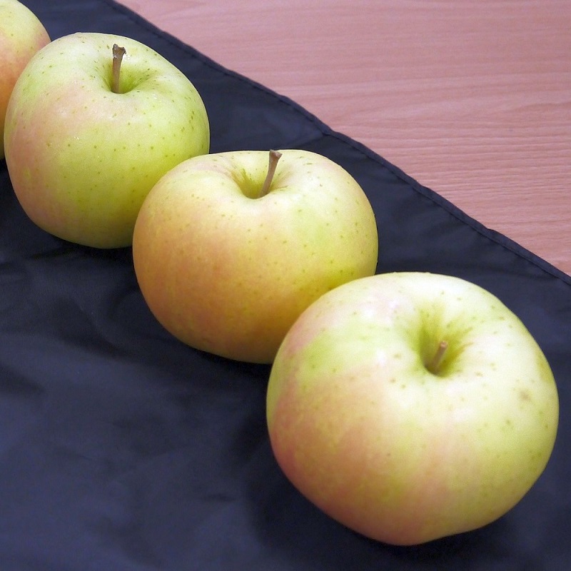 日本青森蘋果明日之星 肉質甜脆多汁，香味濃 產期短，，值得品嚐