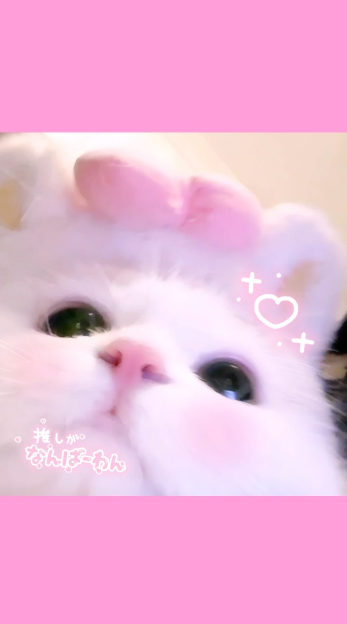 全界隈⭕️リアコ＆同拒さんおいで！