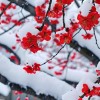 春江花月🌸❄️💎🔹逆水寒（台服）💦