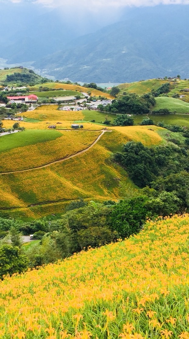 接場接送/包車旅遊、接送