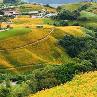 接場接送/包車旅遊、接送