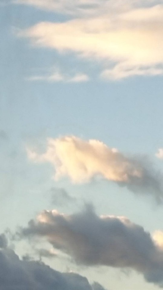 絵を描くのが好きで好きでたまらない人しゅーごー！！！