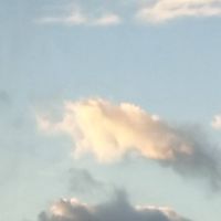 絵を描くのが好きで好きでたまらない人しゅーごー！！！
