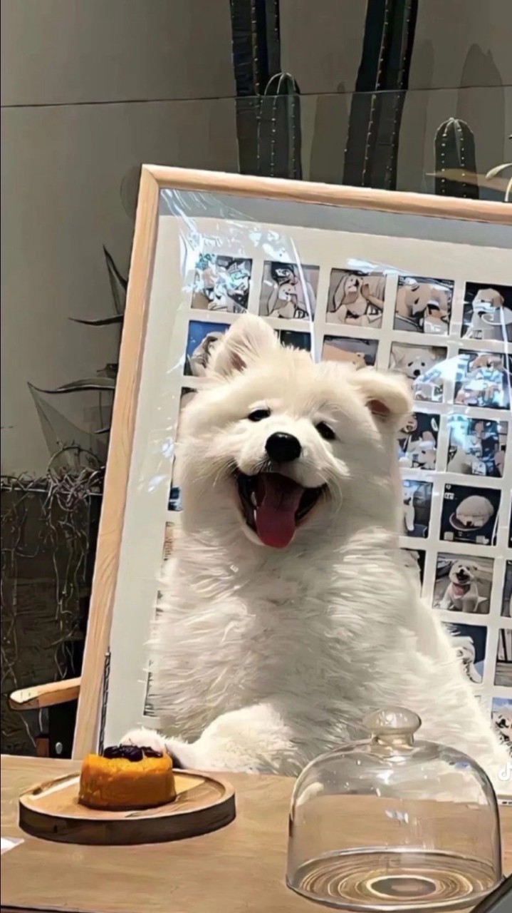 คุยเล่นงับ