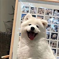 คุยเล่นงับ