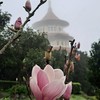 5/7-8頂石棹-東水山