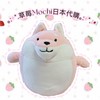 草莓Mochi日本代購🇯🇵🍓