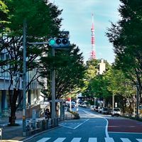 全力坂道系FX公式EA利用者限定オプチャ【FX自動売買】無料EA/爆益EA/安定EA/副業/夜職