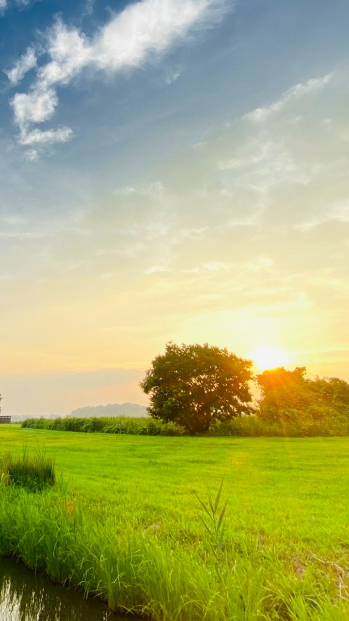 今日を整える部屋