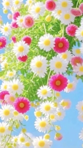 大人の雑談🌸40代50代60代🌸ホッとできる少人数のお部屋🌸