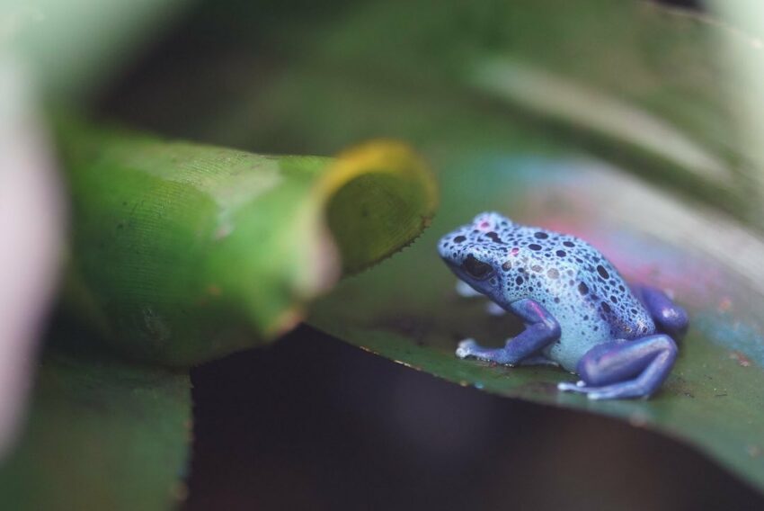 台北市,動物園,木柵動物園,臺北市立動物園,熊貓優惠,雙十八木,木柵,藝fun券店家,國旅券使用店家,台北市立動物園,台北動物園,新光證卷,動滋券使用店家,新光國小,貓熊,熊貓客服,農遊券使用店家,木柵美食,動物園門票,壽山動物園預約,企鵝英文,zoo,icash 2.0,2021動滋券使用店家,木柵動物園門票,國旅券使用店家查詢,台灣昆蟲館,熊貓優惠卷,熊貓客服電話,臺北市,taipei zoo,熊貓優惠券,藝fun券使用店家,動物英文,孟加拉貓,panda 優惠,壽山動物園門票,動滋券使用店家台中,動滋券店家,沙漠駱駝,伊貝特,台北木柵動物園,藝fun券使用店家查詢,7-11 啤酒,熊貓 優惠,新竹動物園門票,一木日,動物園營業時間,動滋券使用範圍,熊貓客服電話2022,台中動物園,國旅券官網,衛生棉 英文,2022動滋券使用店家,熊貓客服電話2021,台灣動物園,麥當勞營業時間,台北市動物園,熊猫,藝fun券買什麼,非洲小孩,實習生 英文,國旅券登記,新竹昆蟲館,木柵動物園營業時間,滿意寶寶集點,鴕鳥 英文,台北動物園門票,2021藝fun券店家,熊貓折扣,動滋券使用店家查詢,農遊券抽獎,藝fun券使用時間,熊貓關站,戀戀天湖,園遊會 英文,99峰動物園,昆蟲 英文,國旅券 餐券,夜間動物園,木柵動物園天氣即時影像,國旅券申請,螢火蟲 英文,教師節快樂英文,鸚鵡價格,生日優惠餐廳台北,禮拜一夜市,科工館門票,動物圖片,麥當勞 漲價,熊貓申請,投票幾點開始,7-11啤酒,壽星 英文,藝fun券餐廳,滿月圓門票,快樂鳥窩,動物園夜間,谷關天氣即時影像,國旅券吃飯,動滋券2021使用店家,國 旅券 使用 店家,麥當勞分享餐2022價格,sika,壽山動動園門票,打折 英文,國旅券使用限制,壽星優惠2022台北,10月,木柵動物園交通,木柵動物園停車場,木柵動物園停車,木柵動物園門票,木柵動物園營業時間,貓熊,無尾熊,企鵝,馬來貘,獅子,老虎,黑熊,長頸鹿,斑馬,鴕鳥,動物園地圖,木柵動物園地圖,臺北市立動物園地圖,台北市立動物園地圖,台北動物園地圖,