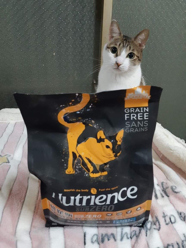 貓飼料推薦-貓奴必備紐崔斯Nutrience 頂級無穀飼料 凍乾系列 成貓無穀 火雞肉+雞肉+鮭魚 2.27kg 開箱分享