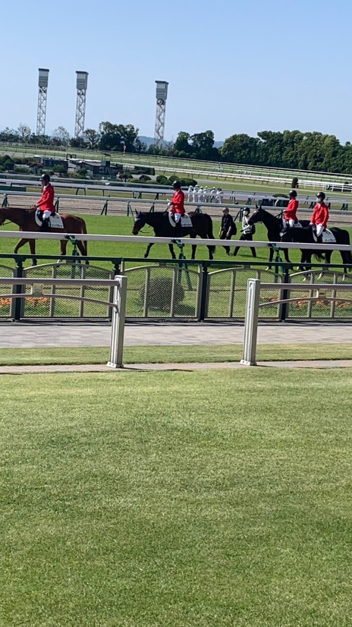 競馬場に行こう🏇