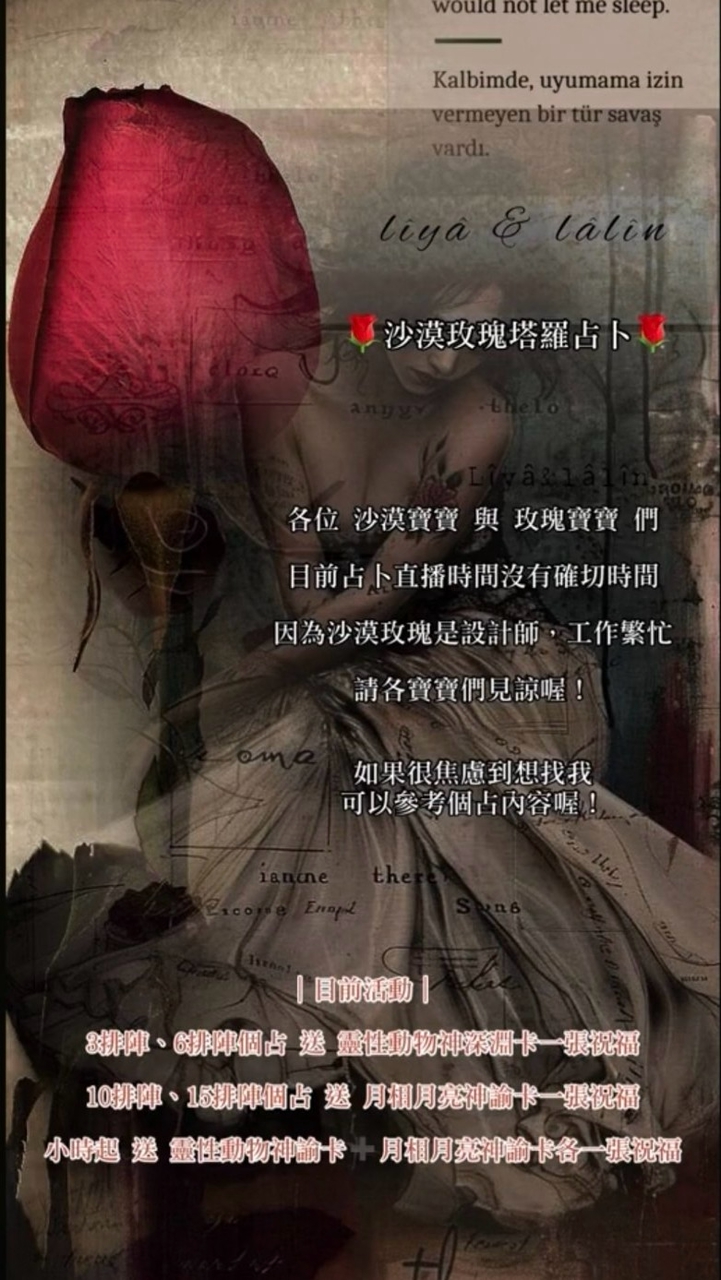 🌹沙漠玫瑰🌹塔羅占卜