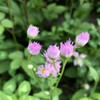 知的障害ちてきしょうがい（ひらがなOK😊）😊、精神障害者😊、即抜けOK😅
