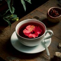 ดอกชบา