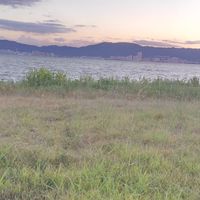 ささくれの会