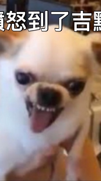 打倒白蓮教