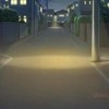 みーつけた  ♪ ♥　【　固定カプ　】