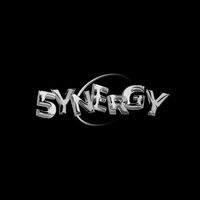 SYNERGY OFFICIAL