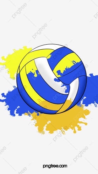 วอลเลย์บอล