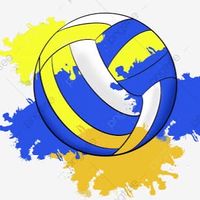 วอลเลย์บอล