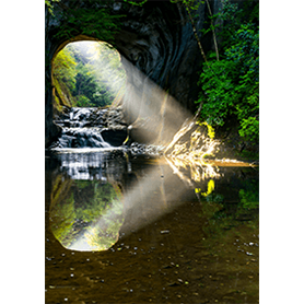 ハート型風景着せかえ特集 ピックアップ Line Store