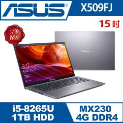 ◎i5-8265U 最新i5 CPU|◎MX230 獨顯｜1TB 5400轉|◎入門文書雙碟筆電商品名稱:X509FJ品牌:ASUS華碩系列:VIVOBOOK15型號:X509FJ-0111G8265