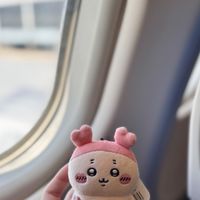 古本寶寶(ฅ́ᗜฅ̀*)