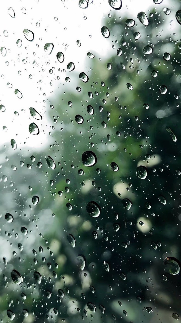 聽雨書茗