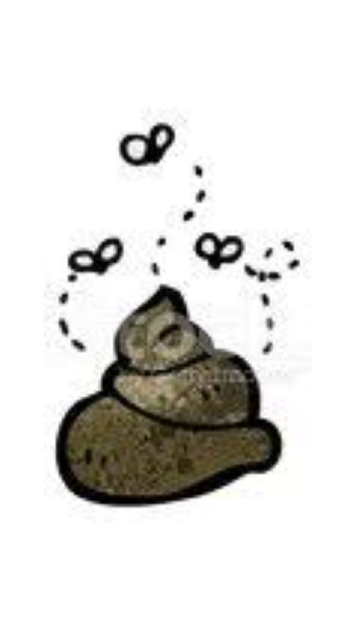 หมากวนประสาท​💩