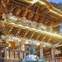 トンボの 😀心筋梗塞. 脳梗塞. 高次脳機能障害　狭心症　.目眩などの情報交換の広場🌿