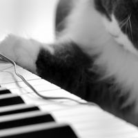 シニアから始めるピアノ初心者