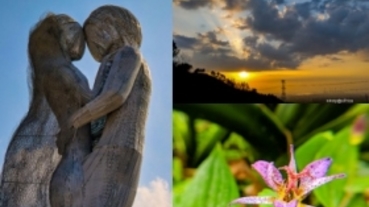 半年來參加 ePrice 手機攝影活動的得獎作品