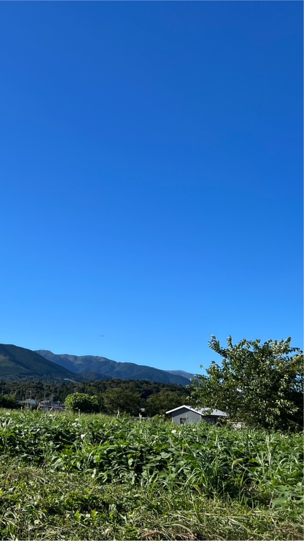 鈴鹿山麓カラフル農園🌈からのお知らせ