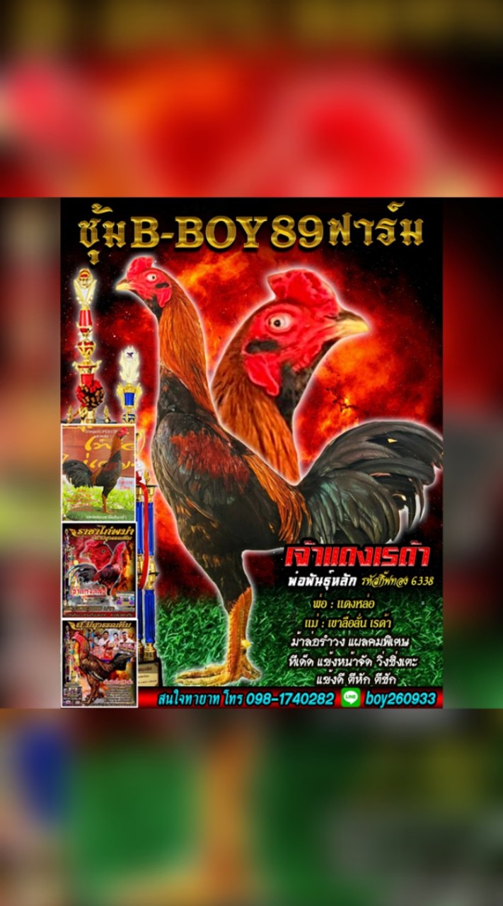 ซุ้ม B.BOY 89 ฟาร์ม