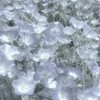 私じゃなきゃ、物足りない？【全緩也ハント】