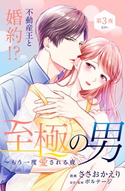 至極の男～もう一度愛される夜［ｃｏｍｉｃ ｔｉｎｔ］ 分冊版 至極の