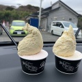 2種 - 実際訪問したユーザーが直接撮影して投稿した下吉沢アイスクリームジェラテリアベガの写真のメニュー情報