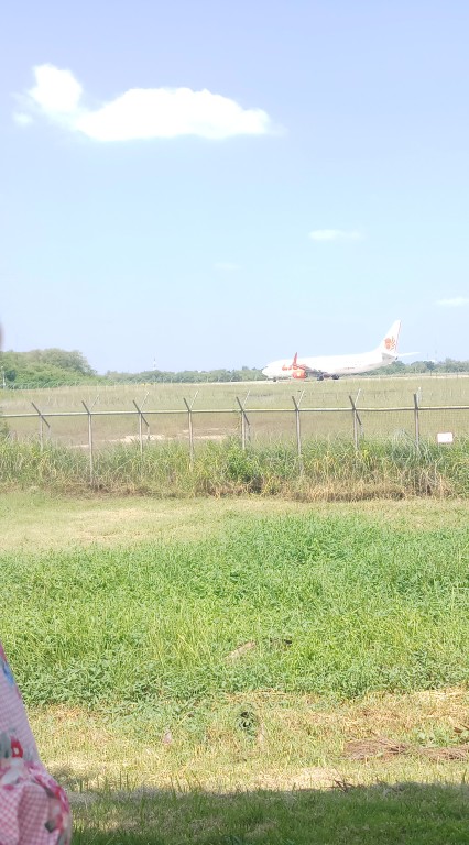 Agriculture Sugarcane