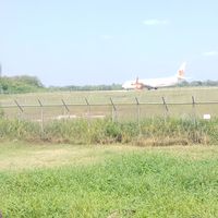 Agriculture Sugarcane