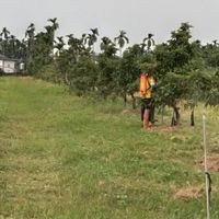 川軒快樂有機農場
