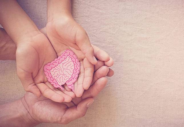 閃嫁星野源 新垣結衣維持童顏飲食法多吃蔬菜公開最愛蔬菜top 5 生活易esdlife Line Today