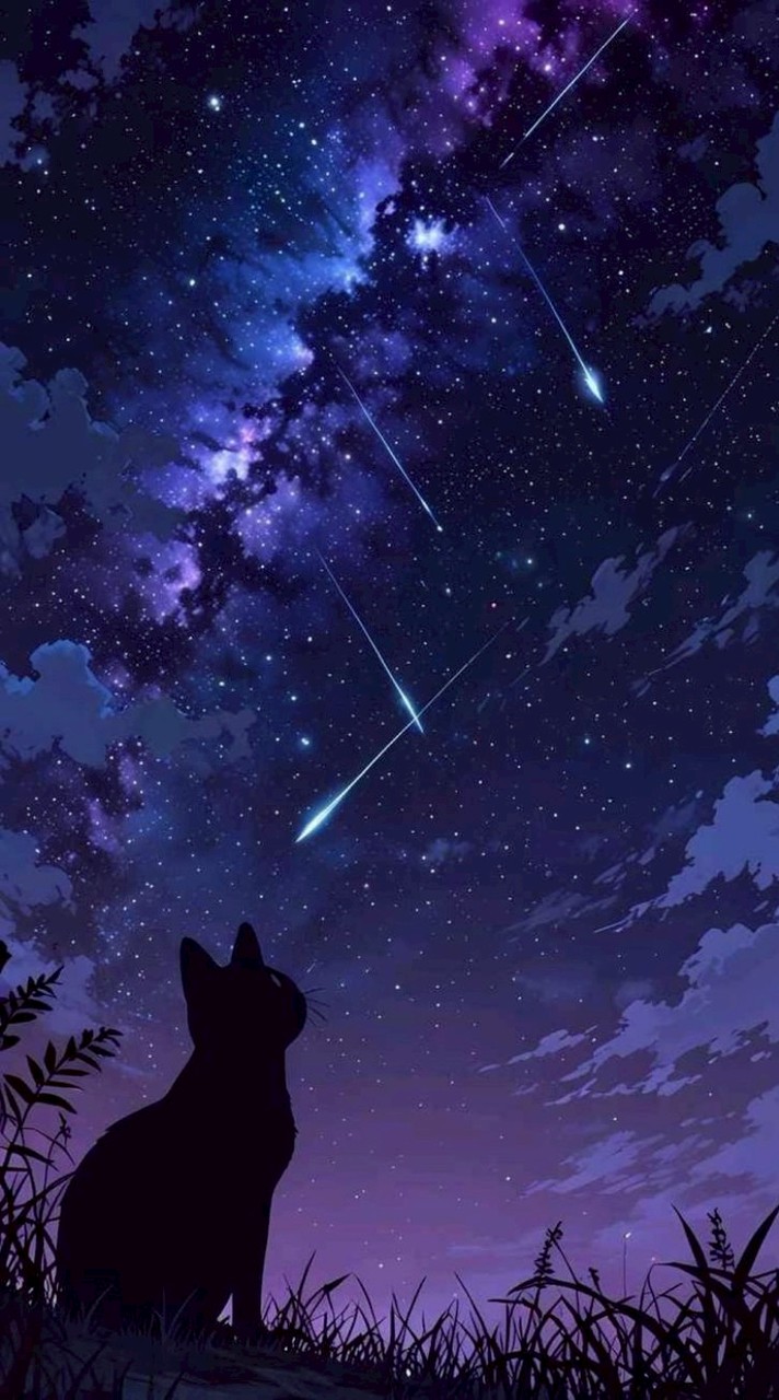 貓戰士-夜族🌘