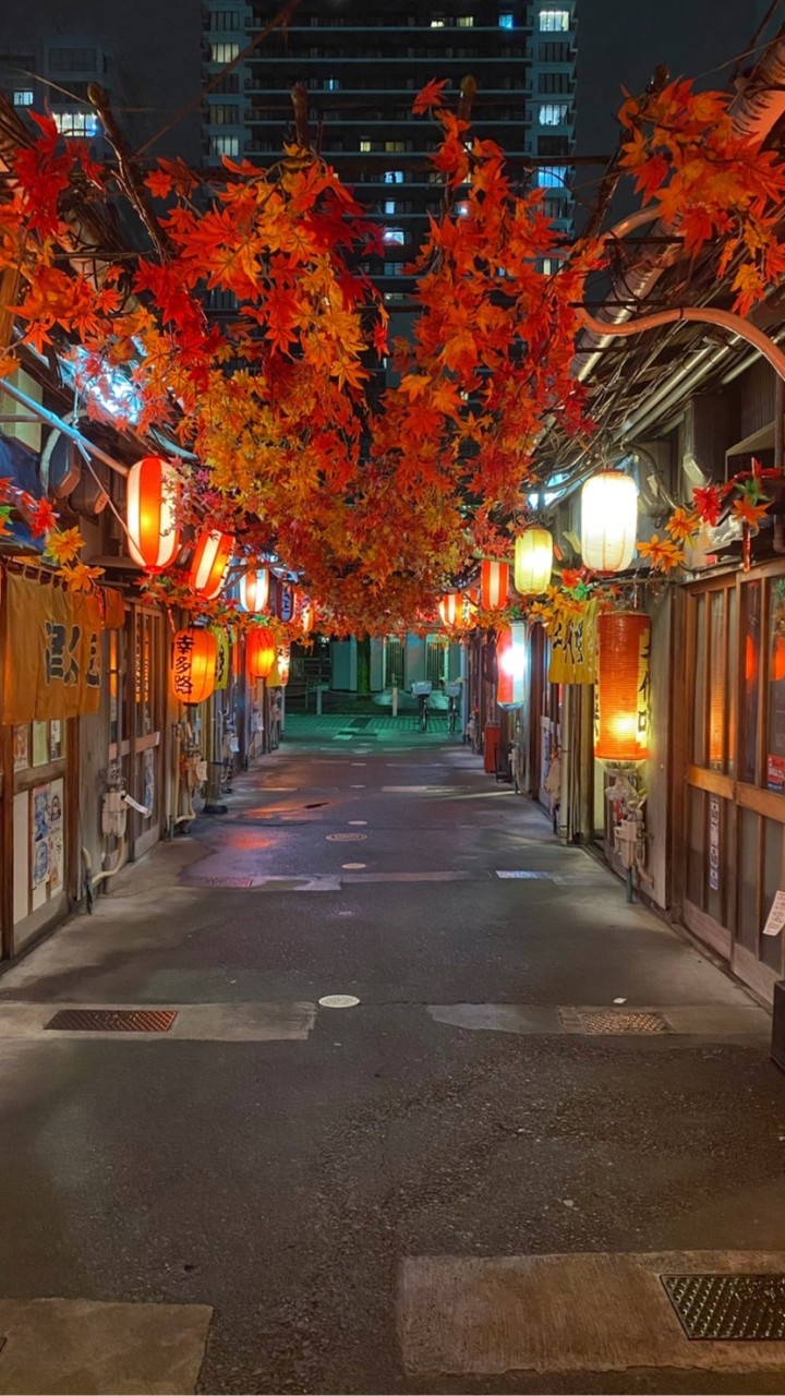 🍵静岡グルメ情報🗻