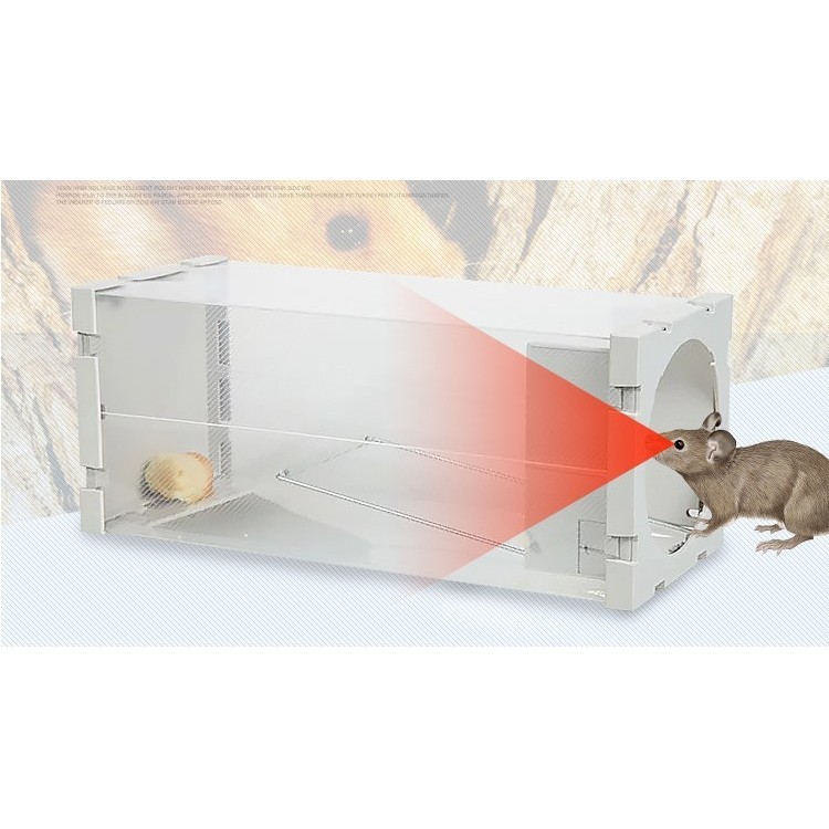 SK57 不髒手人道捕鼠瓶 不挑色 威力捕超靈敏捕鼠器老鼠籠連續鼠瓶夾抓滅撲老鼠藥粘鼠板易偽裝型 材質:(塑料) 規格：約(120mm120mm) 我們一直想用最大的努力為您呈現我們最優質的服務，和最