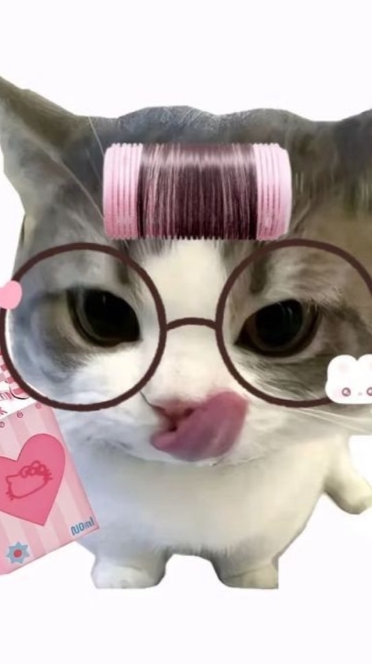 ~Hewhub~