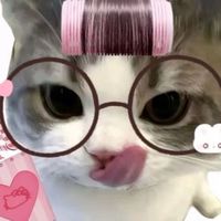 ~Hewhub~