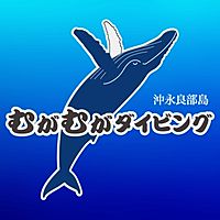 沖永良部島むがむがダイビング