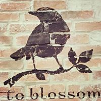 to blossom レイクタウン店